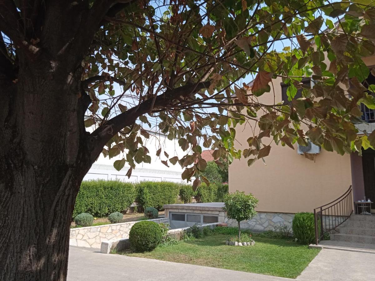 Hostel Vera - Airport Podgorica Mitrovici  Exterior photo